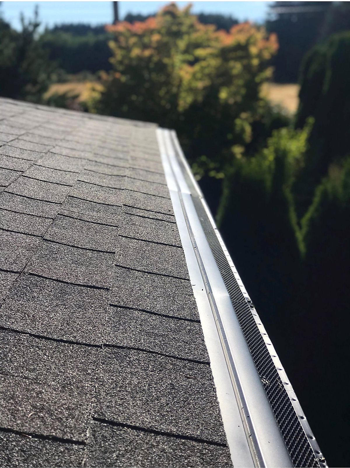 New aluminum gutter and guard installed along an architectural shingle roof edge